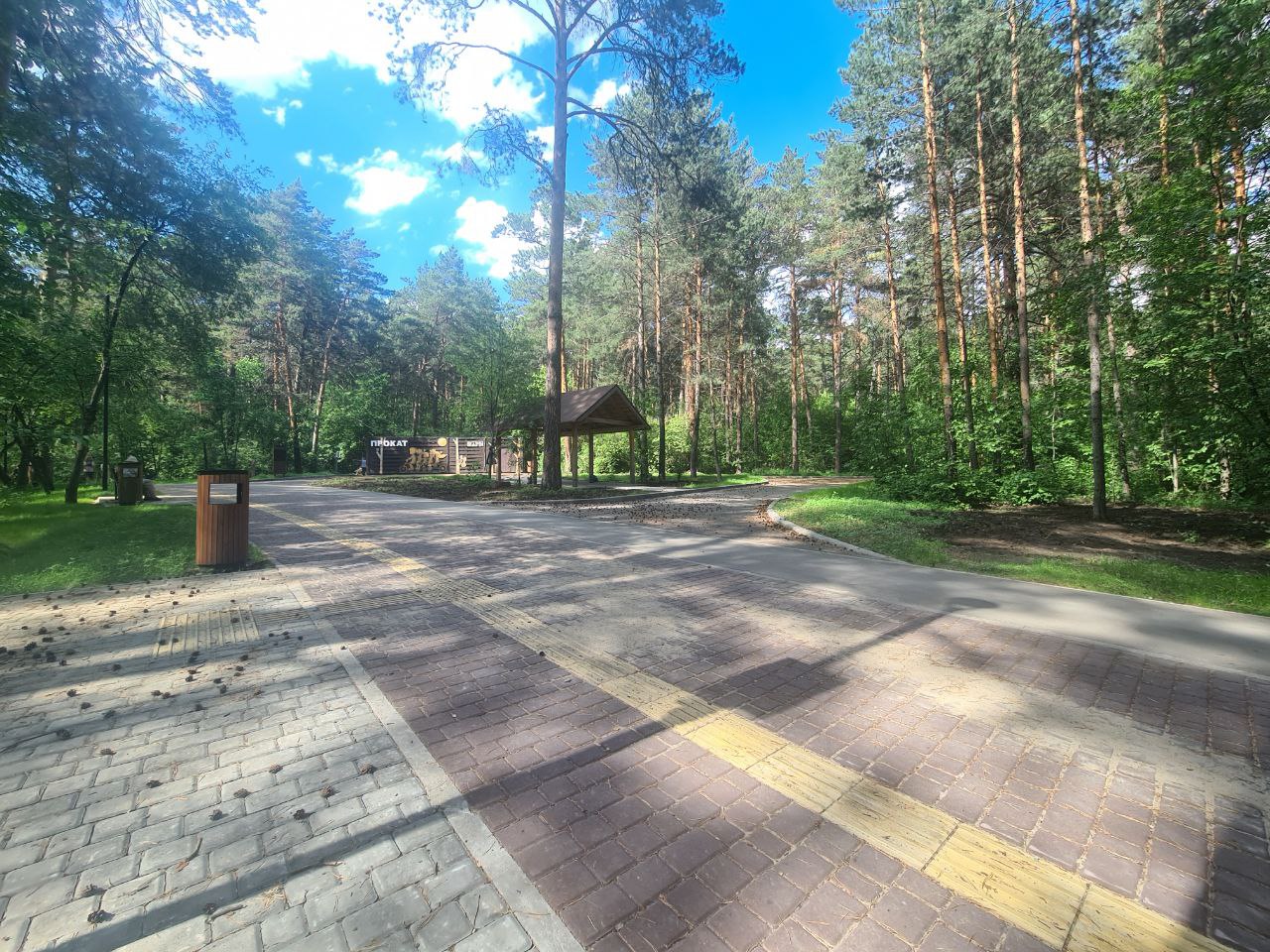 Город Новосибирск Заельцовский парк